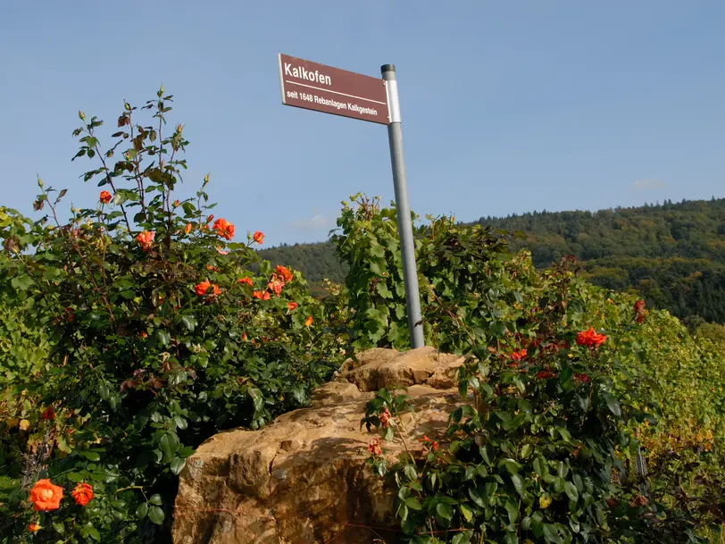 Weingut Schwörer in Kippenheim-Schmieheim